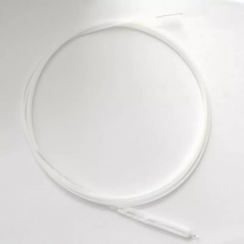 Berus Endoskopik Duodenal